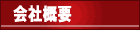 ЊTv